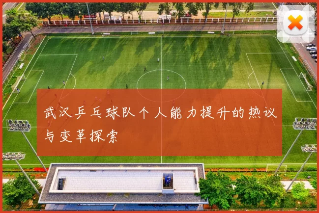 武汉乒乓球队个人能力提升的热议与变革探索
