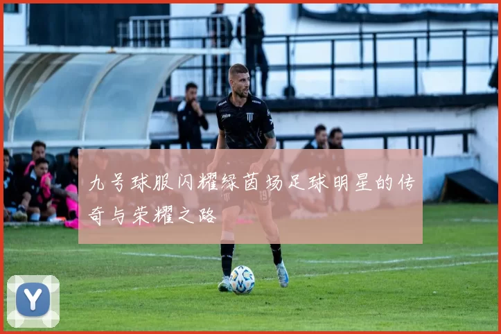 九号球服闪耀绿茵场足球明星的传奇与荣耀之路