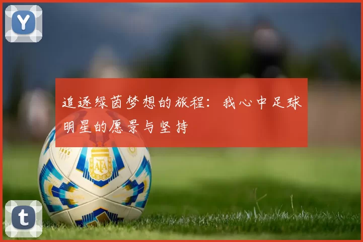追逐绿茵梦想的旅程：我心中足球明星的愿景与坚持