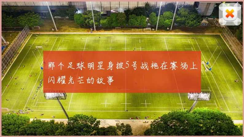 那个足球明星身披5号战袍在赛场上闪耀光芒的故事