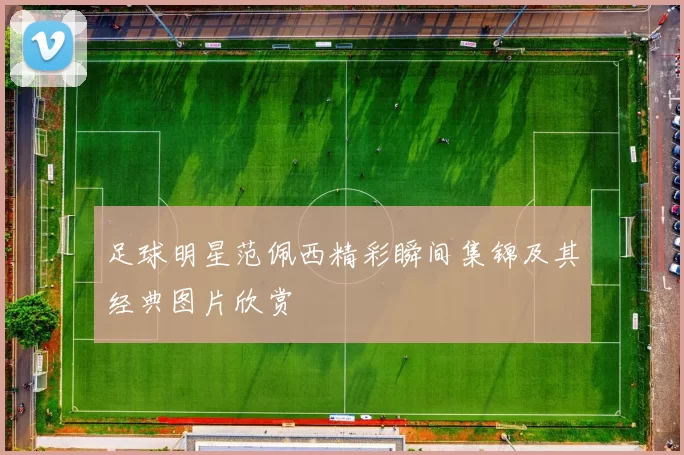 足球明星范佩西精彩瞬间集锦及其经典图片欣赏