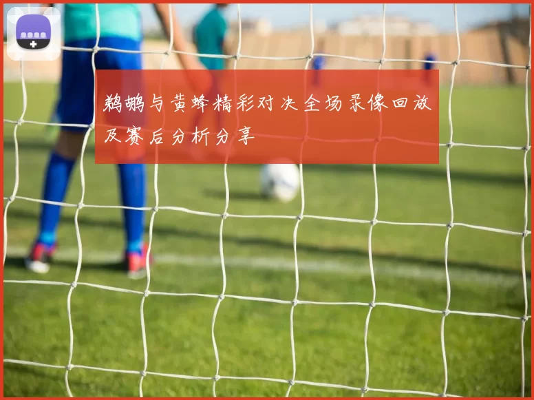 鹈鹕与黄蜂精彩对决全场录像回放及赛后分析分享