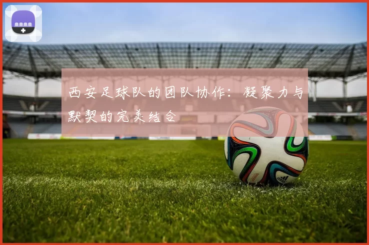 西安足球队的团队协作：凝聚力与默契的完美结合
